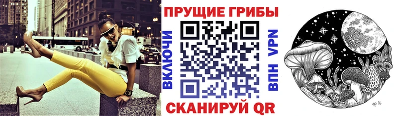 Галлюциногенные грибы мицелий  хочу   Нижняя Тура 